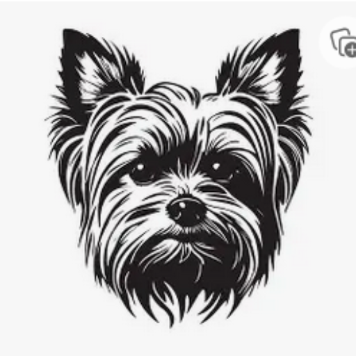 favicon yorkie